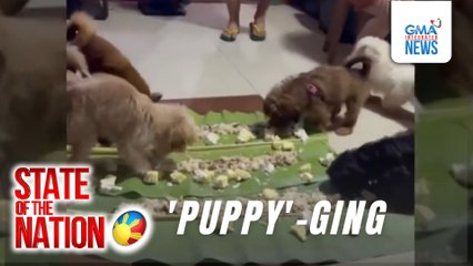 Fur dad, nagpa-boodle fight sa mga alagang aso nang matanggap ang mid-year bonus | SONA