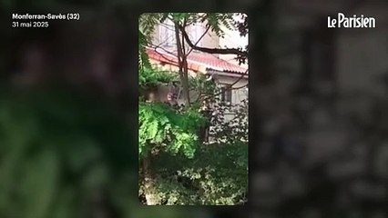 Un élu demande à son voisin de baisser le son et se fait agresser dans le Gers