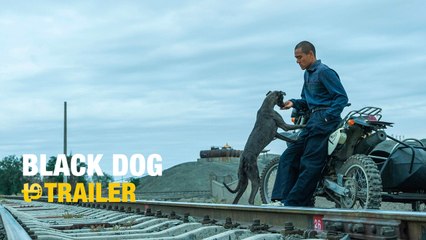 Black dog - Trailer subtitulado en español