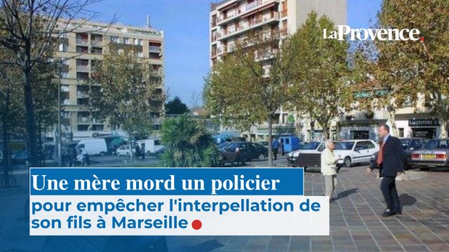 Une mère mord un policier pour empêcher l'interpellation de son fils à Marseille