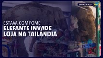 Com fome, elefante invade loja de conveniência na Tailândia