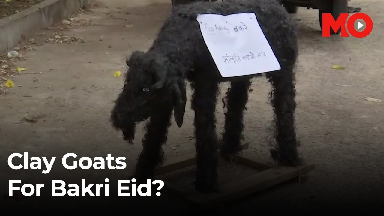 Clay goats for Bakri Eid?