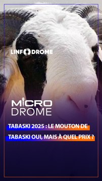 LE MOUTON DE TABASKI : À QUEL PRIX ? LES FIDÈLES MUSULMANS S'EXPRIMENT