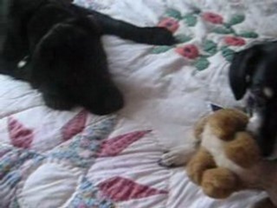 nina et canelle