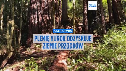 "Największy projekt zwrotu ziemi" - plemię Yurok po 150 latach odzyskuje tereny przodków