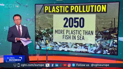 World Environment Day: "There's a myth only plastic we can use for different things"