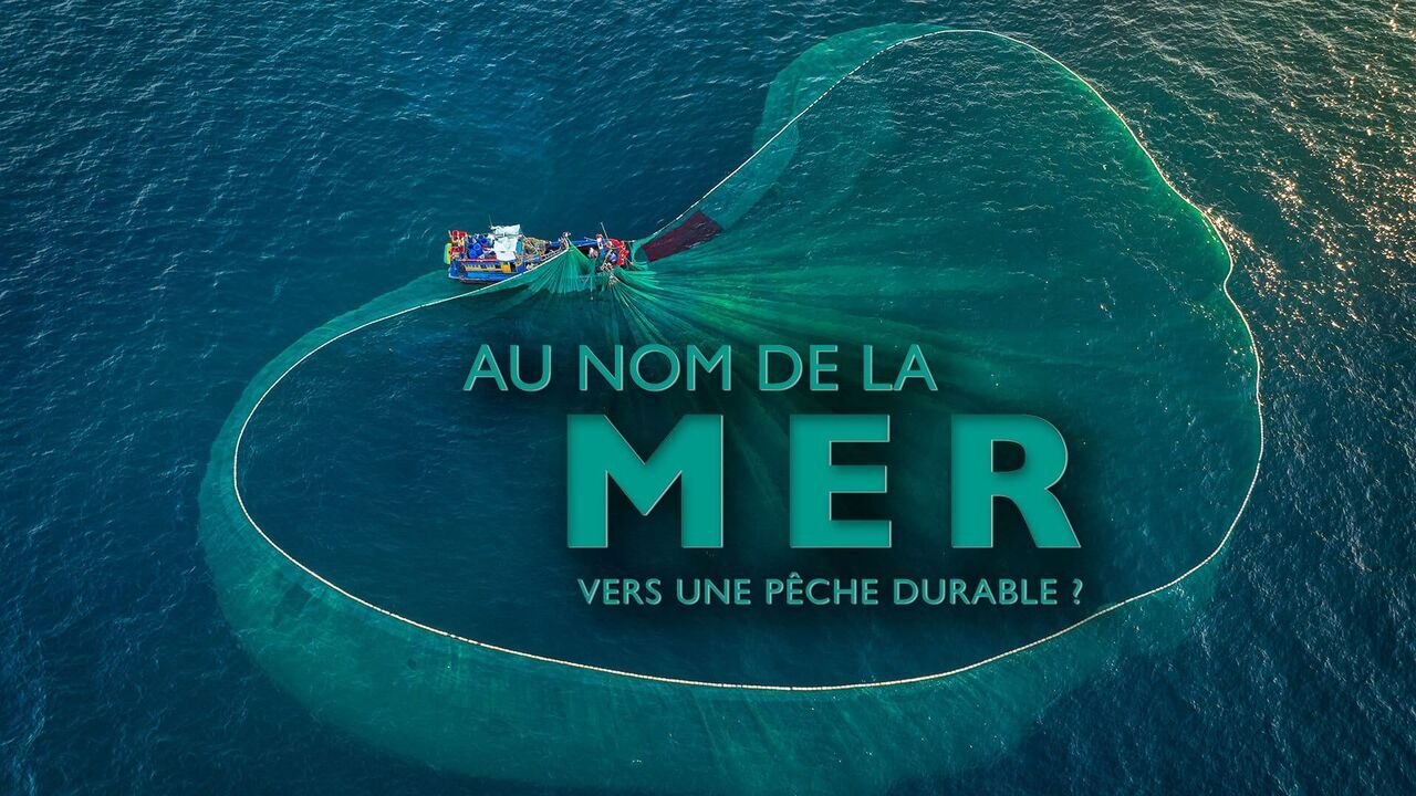 Au nom de la mer, vers une pêche durable ?