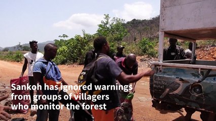 Sierra Leonean villagers fight back against alarming deforestation