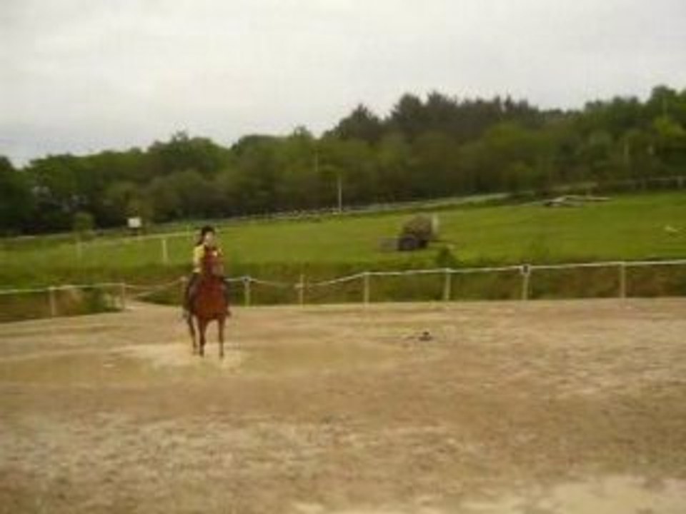 Jappy & Moi a l'obstacle