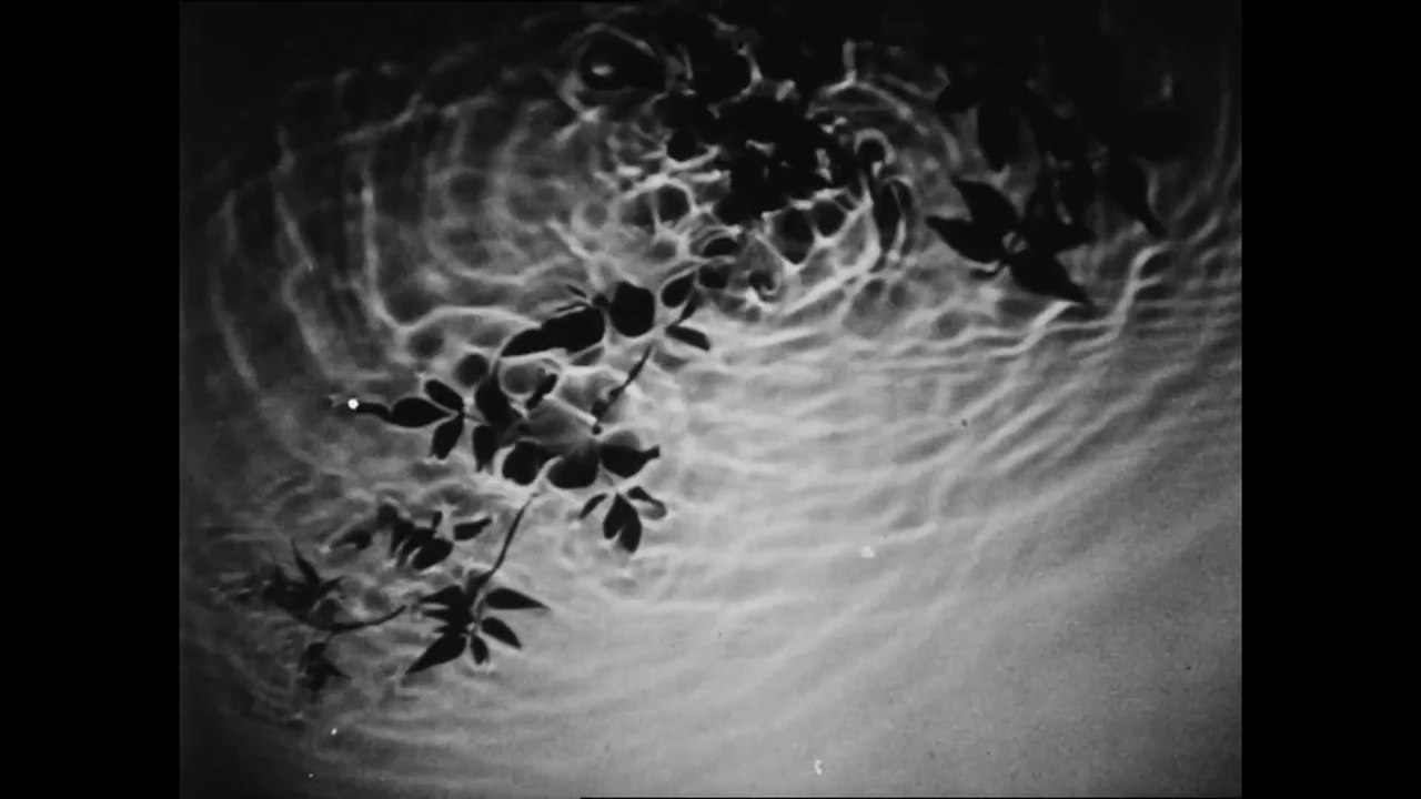 Courte improvisation avec 3 Films de Franciszka et Stefan Themerson / Olivier Fouchard 2025