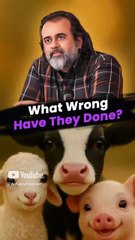 What Wrong Have They Done? || Acharya Prashant