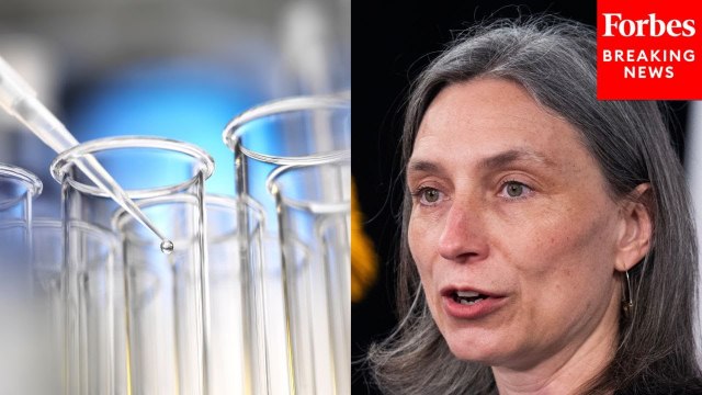 ‘Constituents Are Literally Begging For Their Lives’: Maxine Dexter Decries Looming NIH Funding Cuts