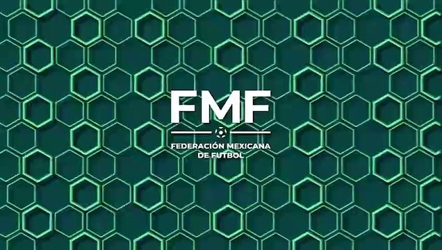 La seguridad en los estadios para el MUNDIAL 2026 | Estadio Deportes