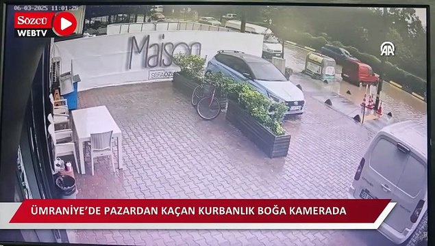 Ümraniye’de pazardan kaçan kurbanlık boğa kamerada