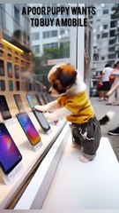 A poor Puppy wants to buy a Mobile