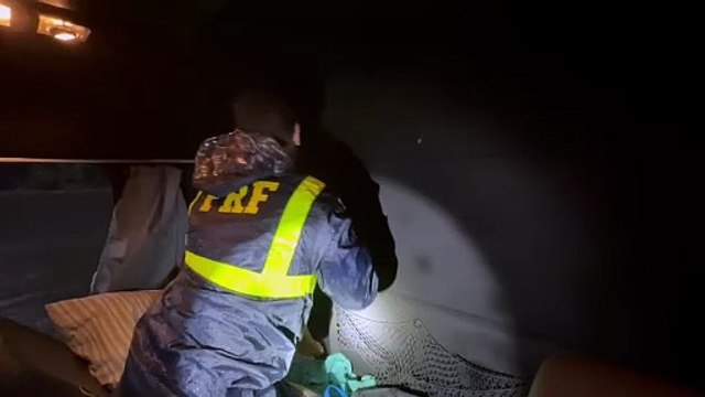 Carga milionária de eletrônicos escondida em caminhão é apreendida pela PRF