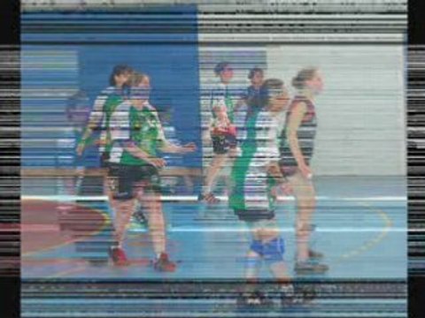 match handball séniors 1 guilers 11/05/08