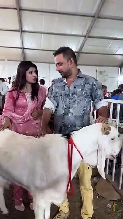 bakra bech raha hai ya iphone 🤣🤣 #suzzanemalik #shorts #youtube #funny #comedy #foryou