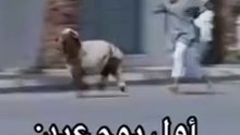 😂:اول يوم العيد