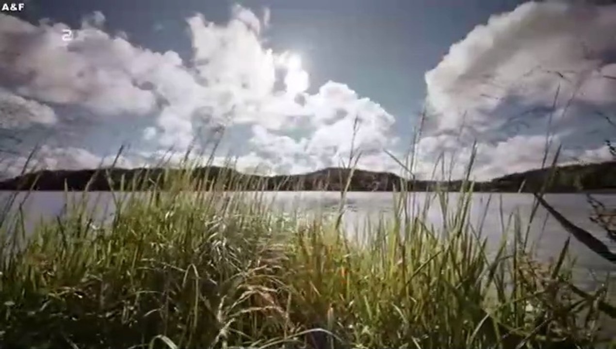 Inga Lindström -096- Jemand liebt dich