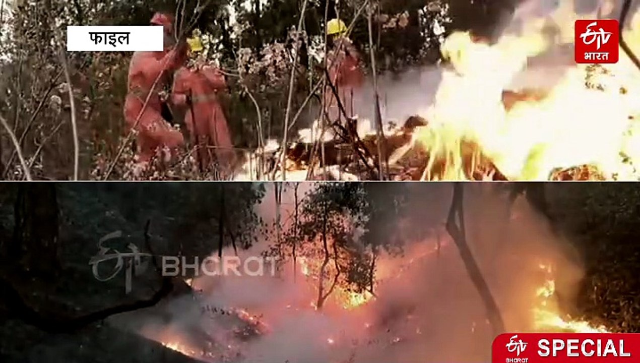 सुस्त सरकारी सिस्टम! खत्म होने को है फायर सीजन, अभी भी FIRE सूट के इंतजार में वनकर्मी