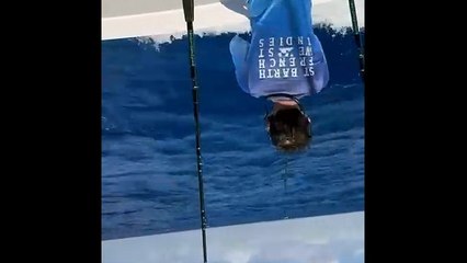 Equipo “Adbul Fishing” domina primer día pesca al Marlin Blanco