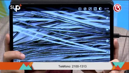 ENTREVISTA 05 JUNIO DIFRUTAR LAS CANAS