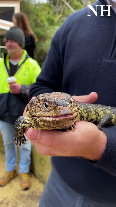 New cafe and community space opens at Blackbutt Reserve