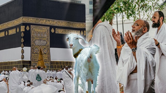 Eid Ul Adha 2025: हज करने वाले बकरीद कैसे मनाते हैं | Hajj Par Qurbani Kese Di Jati Hai | Boldsky