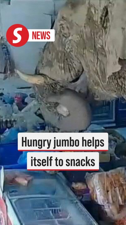 Elephant breaks into Thai grocery store for snacks