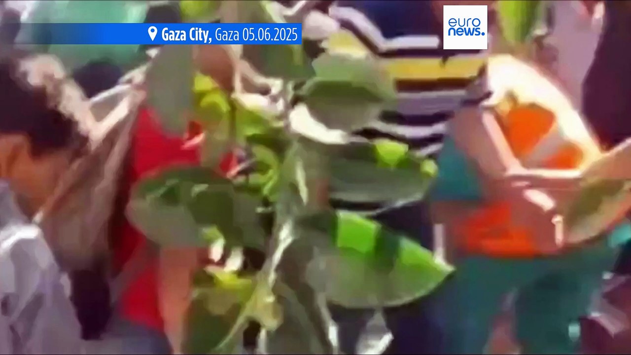 Tre giornalisti uccisi negli attacchi israeliani a un ospedale di Gaza