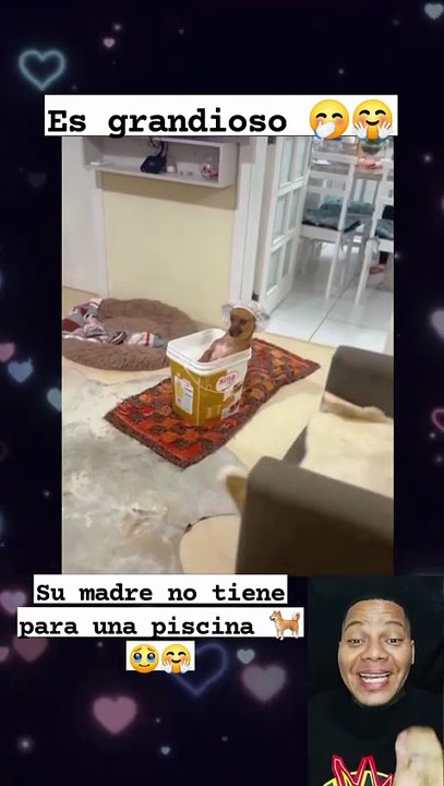 La cachorra y su baño