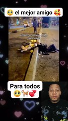 Este cachorro es el mejor amigo de este hombre