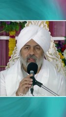 Exploring the Spiritual Journey of Humanity मानवता की आध्यात्मिक यात्रा की खोज Baba Hardev Singh Ji