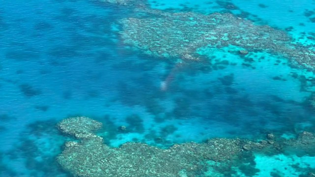 Great Barrier Reef Queensland Australia