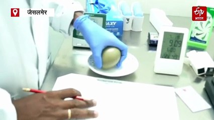 रंग लाए समन्वित प्रयास: जैसलमेर की धरती पर बढ़ रही गोडावणों की संख्या, इस साल अब तक जन्मे 21 चूजे