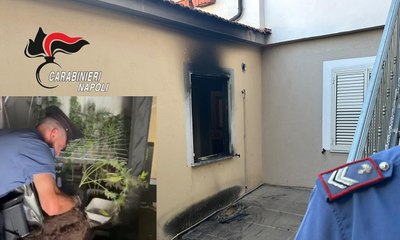 Caivano (NA) - Incendio rivela serra di marijuana: arrestato 43enne incensurato (07.06.25)