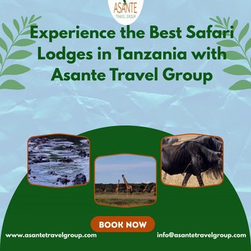 Experience the Best Safari Lodges in Tanzania with Asante Travel Group