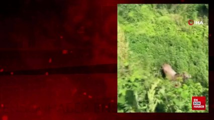 Bursa'da kurbanlıklar kaçtı, vatandaşlar yakalamaya çalıştı