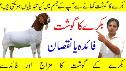 Health benefits of goat meat | Bakry ke gosht ke fayde | Bakri ke gosht ka mizaj | Arshad mens health channel