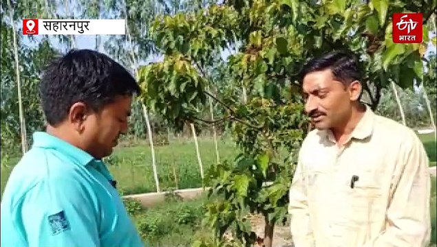 'ऑपरेशन सिंदूर' का असर : सहारनपुर का किसान सिंदूर की खेती कर कमा रहा मोटा मुनाफा, दूसरों को भी कर रहा प्रेरित