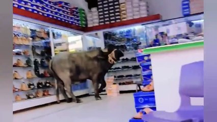 Most Funny Moments Of Pakistani People 😅😜-part;-125 ｜ pakistani funny video