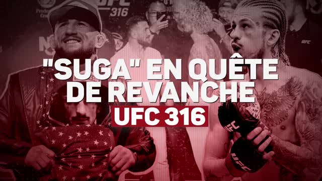 UFC 316 - Dvalishvili vs. O'Malley, Suga en quête de revanche
