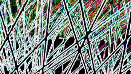 Synthwaver Festival 2025: EDM & Rave Vibes 🎶