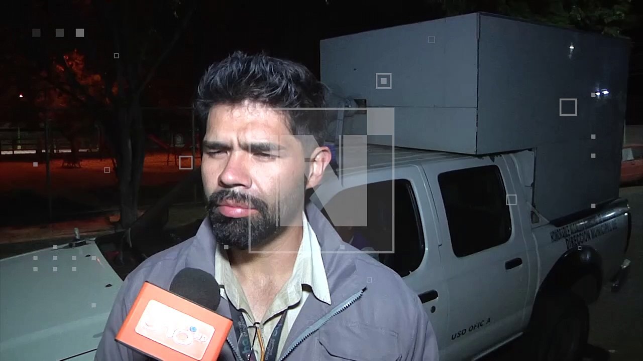 ¡Perrito estaba en el frío y la calle! Una mujer trató de evitar que Zoonosis se lo llevara