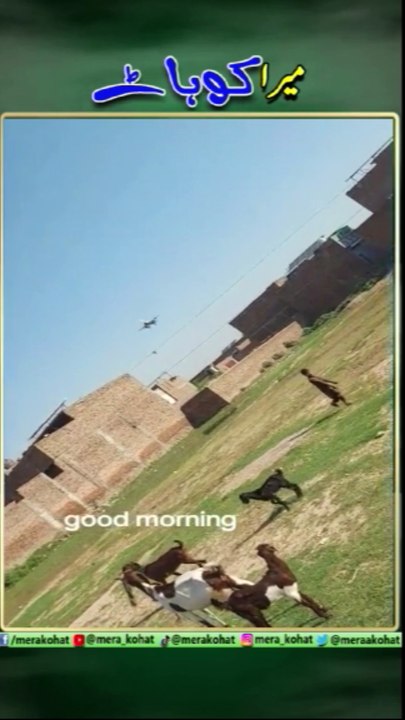 mera kohat 55-2