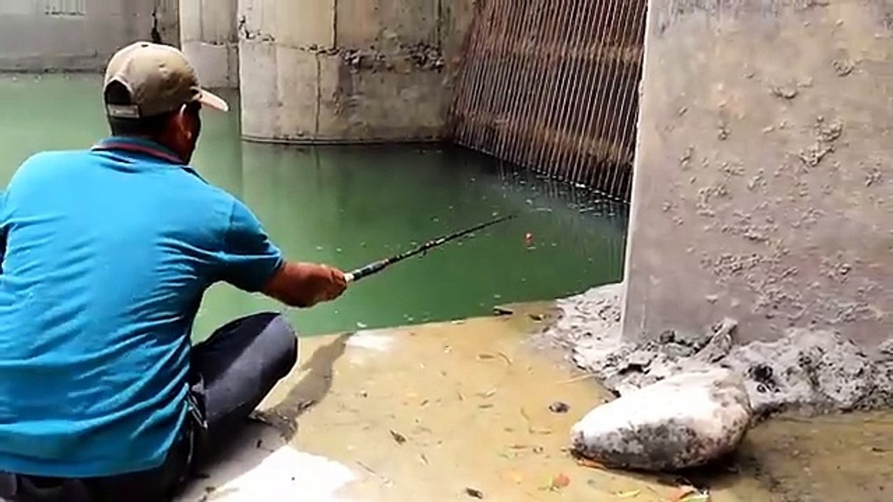 AWSOME fishing｜fisherman catching defrent fishes with small hook｜