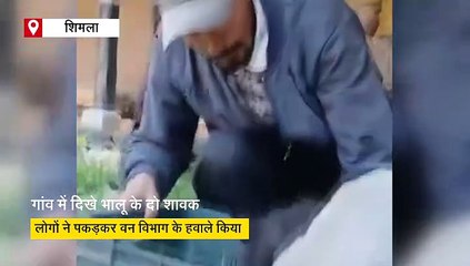 गांव में पहुंच गए भालू के दो नन्हे शावक, फिर लोगों ने किया गजब का काम