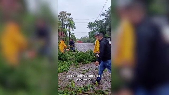 Los vecinos se unen para realizar tareas de limpieza en zonas afectadas por la tormenta | Puerto Iguazú