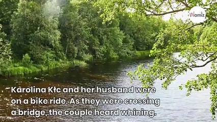 Bike ride turns emergency rescue when couple hear whining coming from the water